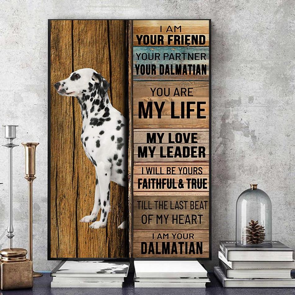 Dalmatian Shirt - Never underestimate an old man with a Dalmatian